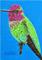 Art: Colorful Little Hummingbird by Artist Ulrike 'Ricky' Martin