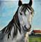 Art: Horse portrait by Artist Heather Sims
