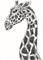 Art: Charcoal Giraffe by Artist Kim Loberg