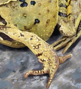 Detail Image for art Funny Little Frog