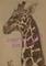 Art: Reticulated Giraffe SOLD by Artist Kim Loberg