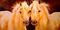 Art: SPIRIT TWINS by Artist Marcia Baldwin