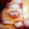 Art: MY FAT CAT 3 by Artist Marcia Baldwin