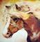 Art: THE DRAFT ~ EQUINE ART by M BALDWIN by Artist Marcia Baldwin