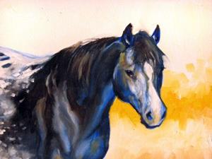 Detail Image for art APPALOOSA IN FIELD