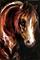 Art: EBONY NIGHTS EQUINE by Artist Marcia Baldwin