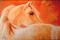 Art: GOLDEN by Artist Marcia Baldwin