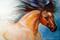 Art: WILD BUCKSKIN by Artist Marcia Baldwin