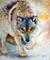 Art: LONE WOLF II by Artist Marcia Baldwin