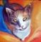 Art: SWEET KITTY POPPY by Artist Marcia Baldwin