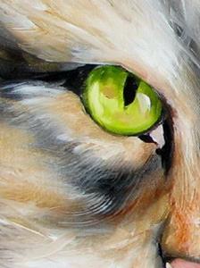 Detail Image for art SWEET TABBY Longhair