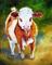 Art: MY FUNNY CALF by Artist Marcia Baldwin