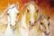 Art: TRIO EQUUS by Artist Marcia Baldwin