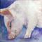 Art: HAIRY LITTLE PIG #1 by Artist Marcia Baldwin