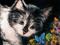 Art: HERE KITTY KITTY by Artist Marcia Baldwin