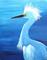 Art: White Egret - sold by Artist Ulrike 'Ricky' Martin