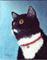Art: Happy Kitty by Artist Ulrike 'Ricky' Martin