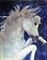 Art: Arabian  (sold) by Artist Ulrike 'Ricky' Martin