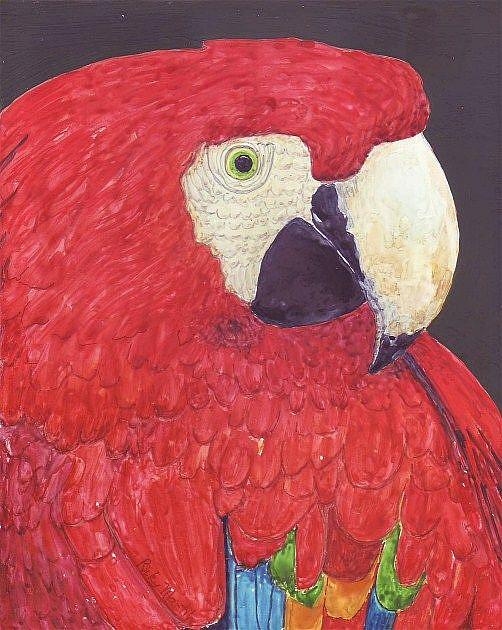 Art: Parrot Portrait by Artist Ulrike 'Ricky' Martin