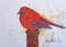 Art: Red Bird by Artist Ulrike 'Ricky' Martin