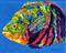 Art: Colorful Oscar Fish  sold by Artist Ulrike 'Ricky' Martin