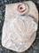 Art: The King Bulldog Pendant by Artist Deborah Sprague