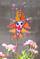 Art: Sunshine Delight by Artist Dianne McGhee
