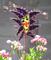Art: Purple Majesty by Artist Dianne McGhee
