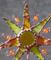 Art: Syncopated Sunshine by Artist Dianne McGhee
