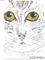 Art: Golden-eyed Tabby SOLD by Artist Nancy Denommee   