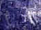 Art: Univers I by Artist Adrienne Bouchard Langlois