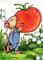 Art: Tomato Harvest ACEO - Available by Artist Carmen Medlin