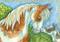 Art: BABY FACE Colt by Artist Susan Brack