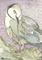 Art: LONE GULL by Artist Theodora Demetriades 