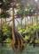 Art: Dena' Creek by Artist Barbara Haviland