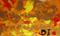 Art: Golden Sunrise  SOLD by Artist Di  Wendy Peel