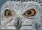 Art: Snowy Owl Eyes SOLD by Artist Kim Loberg