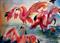 Art: Scarlet Ibis by Artist Delilah Smith