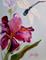 Art: Iris and Dragonfly by Artist Delilah Smith
