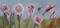 Art: Calla Lilies and Bee=sold by Artist Delilah Smith