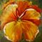 Art: Pansy No.2 by Artist Delilah Smith