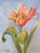 Art: Peach Tulip by Artist Delilah Smith