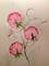Art: Sweet Peas by Artist Delilah Smith