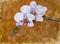 Art: Orchids by Artist Delilah Smith