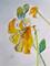Art: Day Lily by Artist Delilah Smith