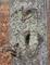 Art: Broken Branches and Lichen by Artist Deanne Flouton