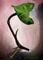 Art: Leaf -Sold- by Artist Deanne Flouton