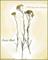 Art: Curry Bush Botanical by Artist Lar Shackelford