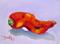 Art: Hot by Artist Delilah Smith