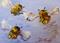 Art: The Buzz by Artist Delilah Smith